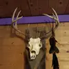 Patrick Phares - @patrick.phares - TikTok