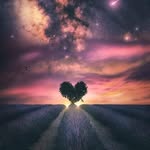 Patrick Philippe - @patrick.philippe.313371 - Instagram