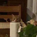Patrick Phillips - @patrick_phillips02 - Instagram