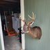 Patrick Philpot - Facebook
