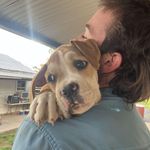 Patrick Philpott - @philpottpatrick - Instagram
