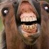 pickelpatrick - @pickelpatrick_05 - TikTok