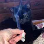 Patrick Pickering - @patsplat93 - Instagram