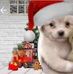 Patrick Piedra - Facebook