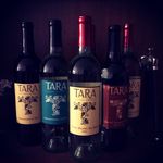Patrick Pierce - @tarawinery - Instagram