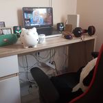 Trevor, Patrick & Piggy - @trevor.patrick.and.piggy21 - Instagram