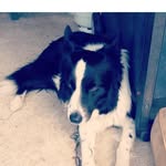 Patrick Pike - @glitched.account666 - Instagram