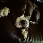 patrick pike - @pike253 - Instagram