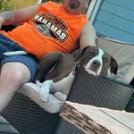 Patrick pike - @patrickpike61 - Instagram