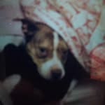 Rory Patrick pike - @k.r.p.pike_rory - Instagram