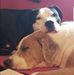 Patrick Piland - Facebook