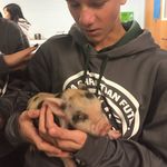 Patrick Piper - @farmerboy_peppers - Instagram