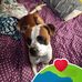Patrick Pitts - Facebook