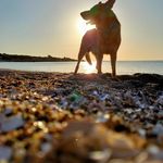 Patrick Pizzo - @patrick.pizzo2 - Instagram