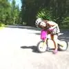 Patrick Ledger - @patrick.ledger - TikTok