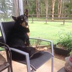 Pat Plowman - Facebook