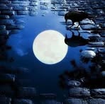 Patrick Plumb - Facebook