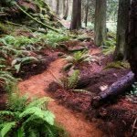 Patrick Podolski (Pat-Podo) - @goldendirttrails - Instagram