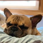 Patrick 🌟 Poindexter - @_da.wubba_ - Instagram
