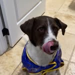 Jason Nadrowski - @patrick_the_pointer - Instagram
