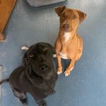 Patrick - @the_pointer_patrick - Instagram