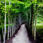 Patrick powers - @patrick_powers_photography - Instagram