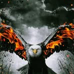 Patrick Bry - Facebook