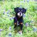 Patrick Pringle - Facebook