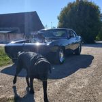 Patrick Provost - @patchevrolet - Instagram