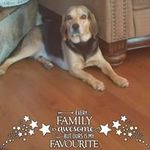 Patrick Putt - @puttpatrick - Instagram