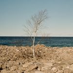 Patrick Quesnel - @patrick_quesnel - Instagram