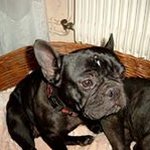 patrick quillet - @patrickquillet - Instagram