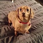 Patrick S Quirk - @patrick.quirk1 - Instagram
