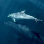 Patrick Ragot - @patrick.ragot.71 - Instagram