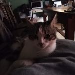 Patrick Ragot - @patrick.ragot.1048 - Instagram