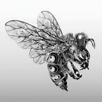 Patrick Raley - Facebook