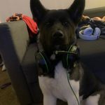 Patrick Ransom - @crazymeetsweird - Instagram