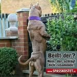 Patrick Ratz - @patrick.ratz.90 - Instagram