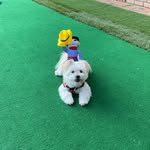 Patrick Read - @patrickckk - Instagram