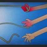 Patrick Reddington - @reddington.patrick - Instagram