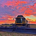 Patrick Redman - @furryfarms - Instagram