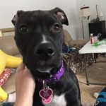 Patrick Reeder - @patrickreeder414 - Instagram