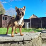 Patrick Rees - @patrickrees66 - Instagram