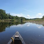 Patrick Rees Snr - @patrickfitzrees - Instagram