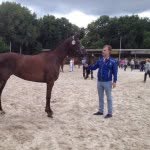 @patrick_reesink - Instagram