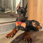 Patrick Rembert - @rembert_patrick - Instagram