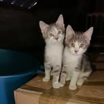 Patrick Renard - @patrick.renard.9277 - Instagram