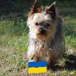 Patrick Renard - @patrick.renard.9404362 - Instagram