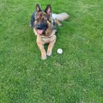 Patrick renard - @patrickrenard107 - Instagram