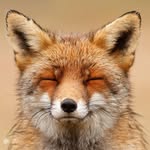 Patrick Renards - @patrick_renards - Instagram